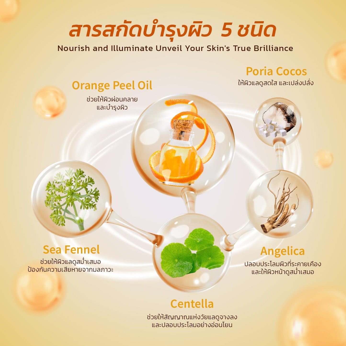 PARMAYARD มอยส์เจอไรเซอร์ ไพรเมอร์ เบสแต่งหน้า กลิ่นส้ม ปรับผิวก่อนแต่งหน้า บำรุงผิวหน้า ให้เมคอัพติดทนนานยิ่งขึ้น