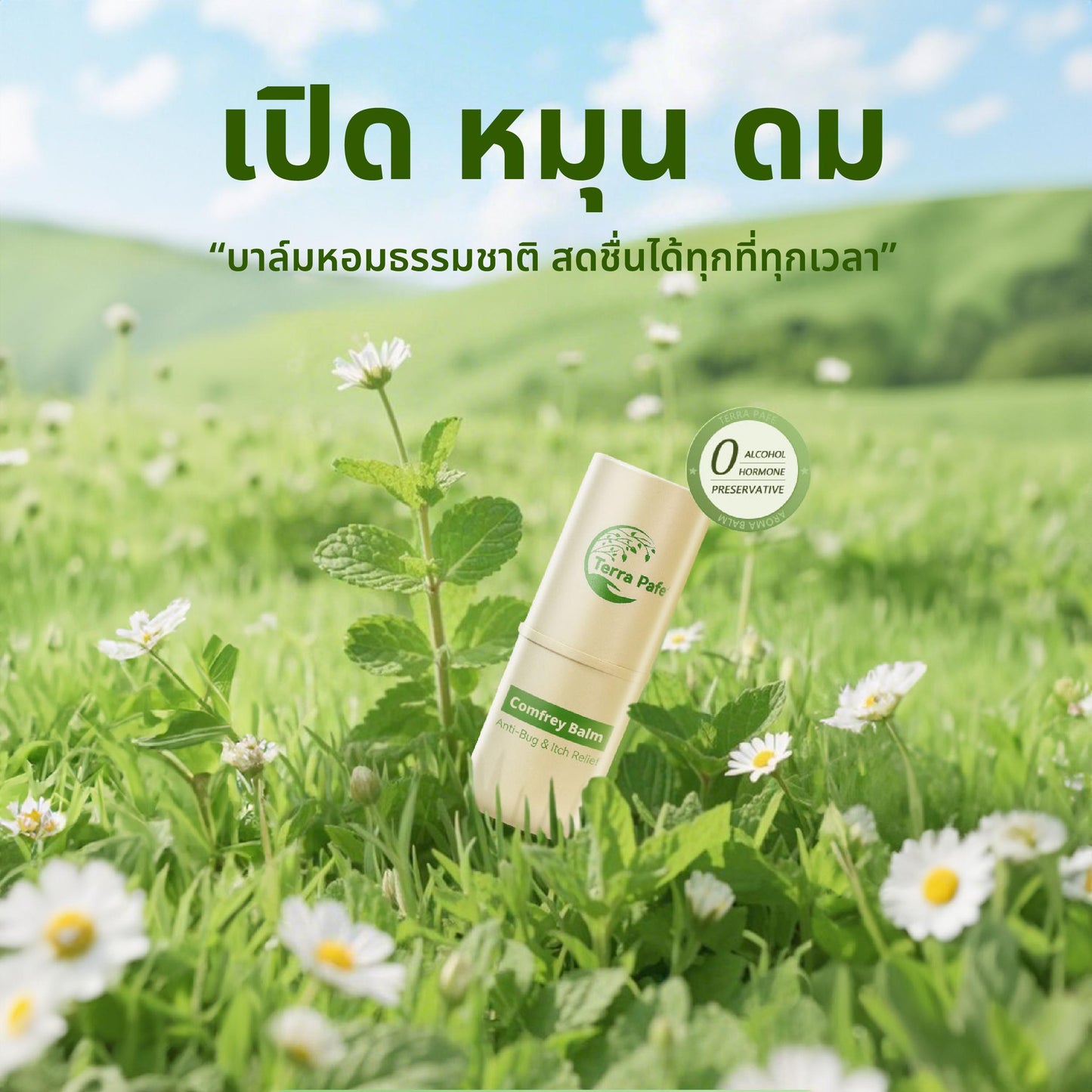 Terra Pafe Comfrey Balm - บาล์มสมุนไพรคอมเฟรย์ กลิ่นหอมอโรม่า สดชื่น ผ่อนคลาย ลดอาการคัน พกพาสะดวก