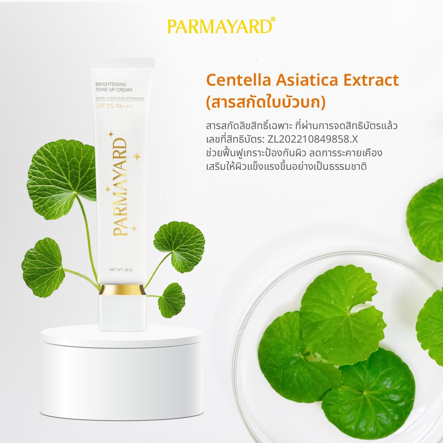 PARMAYARD Brightening Tone-Up Cream SPF25 PA+++ โทนอัพผิว บูสต์ผิวฉ่ำโกลว์ใน 1-2 ระดับ พร้อมกันแดดผิวหน้า สกินแคร์ 40 กรัม