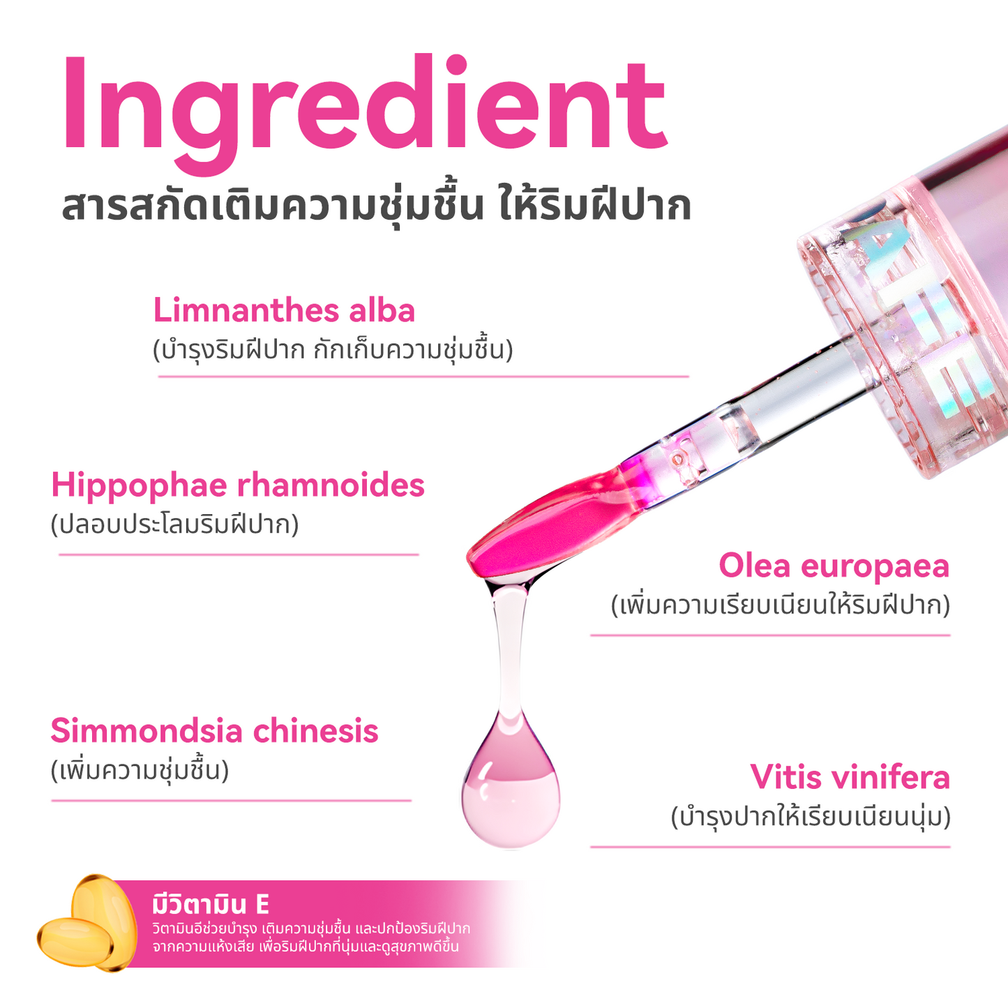 Terra Pafe Magic Glossy Lip Essence - ลิปออยล์บำ รุงริมฝีปาก ให้ความชุ่มชื้นพร้อมเพิ่มความสดใส ไม่เหนอะหนะ