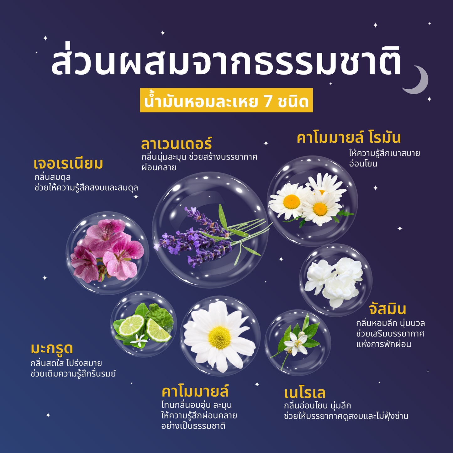 TERRA PAFE GOOD NIGHT PATCHES แผ่นแปะอโรม่า ช่วยรังสรรค์ช่วงเวลาก่อนนอนที่อบอุ่นและผ่อนคลายอย่างพอดี