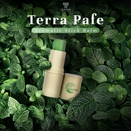 Terra Pafe Comfrey Balm - บาล์มสมุนไพรคอมเฟรย์ กลิ่นหอมอโรม่า สดชื่น ผ่อนคลาย ลดอาการคัน พกพาสะดวก